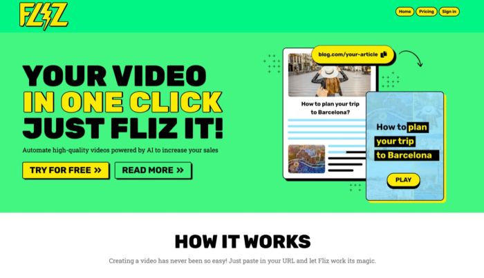 Fliz